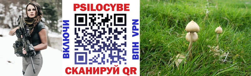 Псилоцибиновые грибы GOLDEN TEACHER  Купить  Камешково 